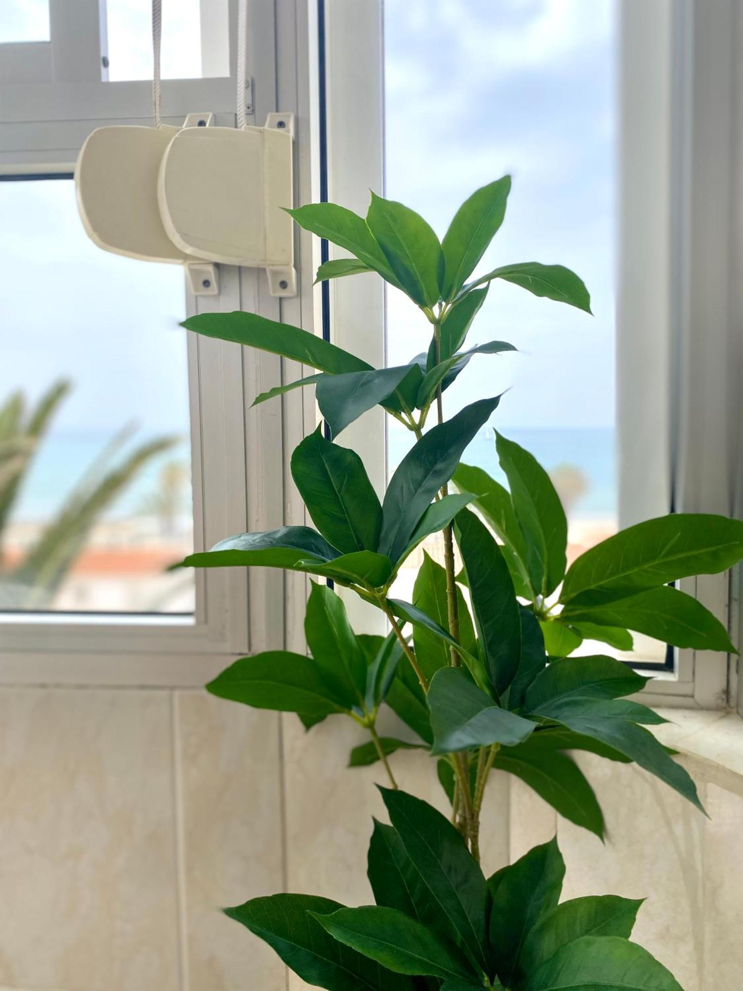 Apartamento Luz Del Mar Torrox Dış mekan fotoğraf